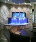 ACQUARIO DESIGN 