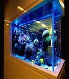 ACQUARIO DESIGN 