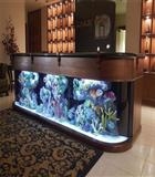 ACQUARIO DESIGN